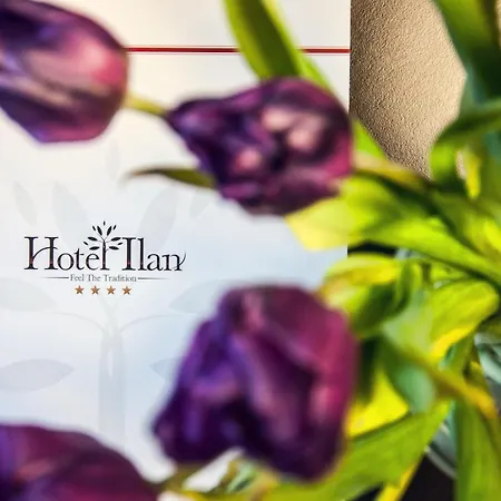 Hotel Ilan