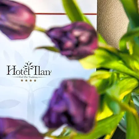 Hotel Ilan 4*